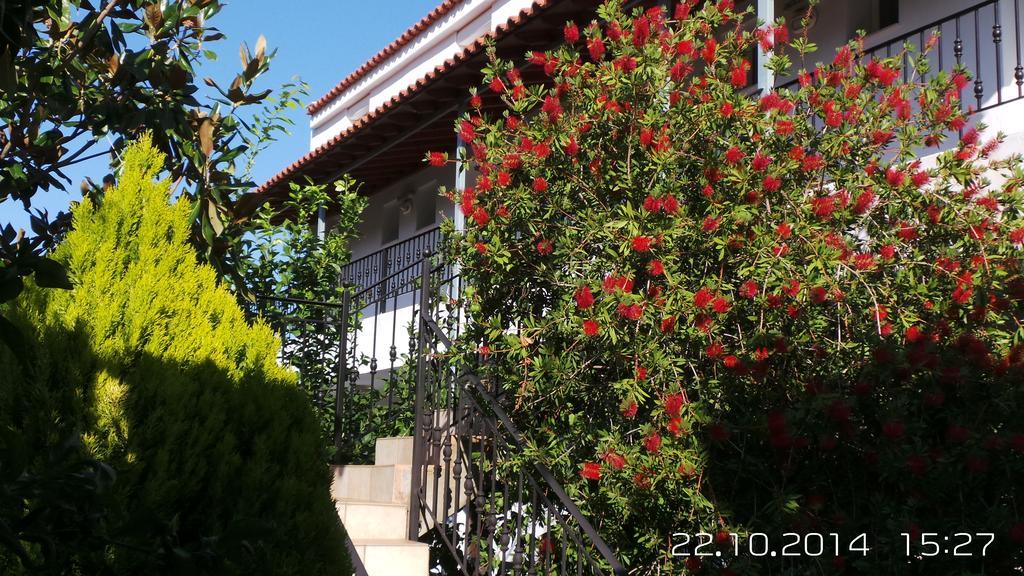 Skiathos Studios Panorama Eksteriør billede